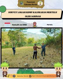 Survei Lokasi KDMP Kalurahan Mertelu oleh Agrinas